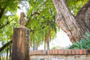 Busto José Bonifácio
