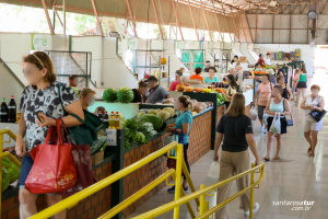 Mercado Público