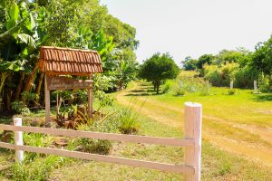 Sítio Agroecológico Santa Fé