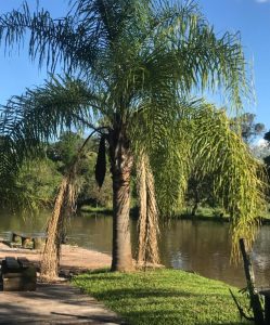 d8c8e3e8-2709-4b73-a8bd-4e50e6f2cf59